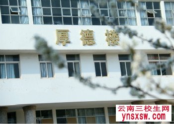 2019年云南林业职业技术学院三校生单招录取