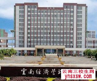 2019年云南经济管理学院三校生单招专业