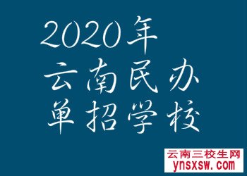 云南省单招民办学校