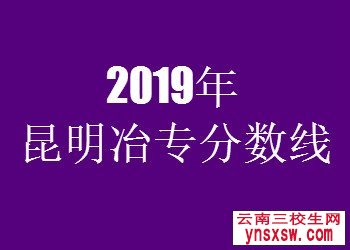 昆明冶金高等专科学校专业取分线