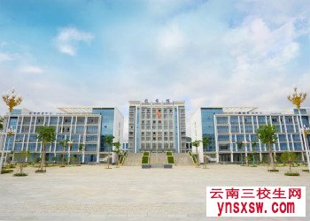 红河卫生职业学院单招考试大纲
