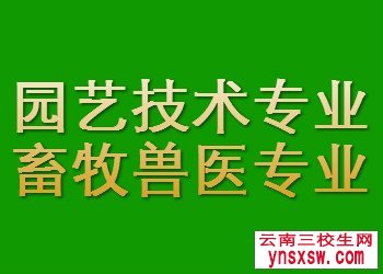 玉溪农业职业技术学院单招专业