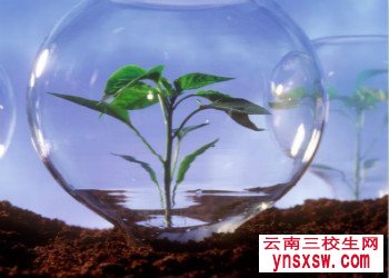 西双版纳职业技术学院单招考试