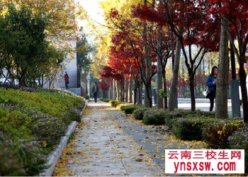 2019年云南林业职业技术学院单招专业计划