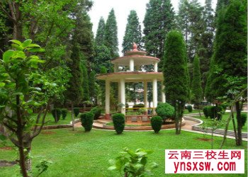 2019年云南农业职业技术学院单招专业